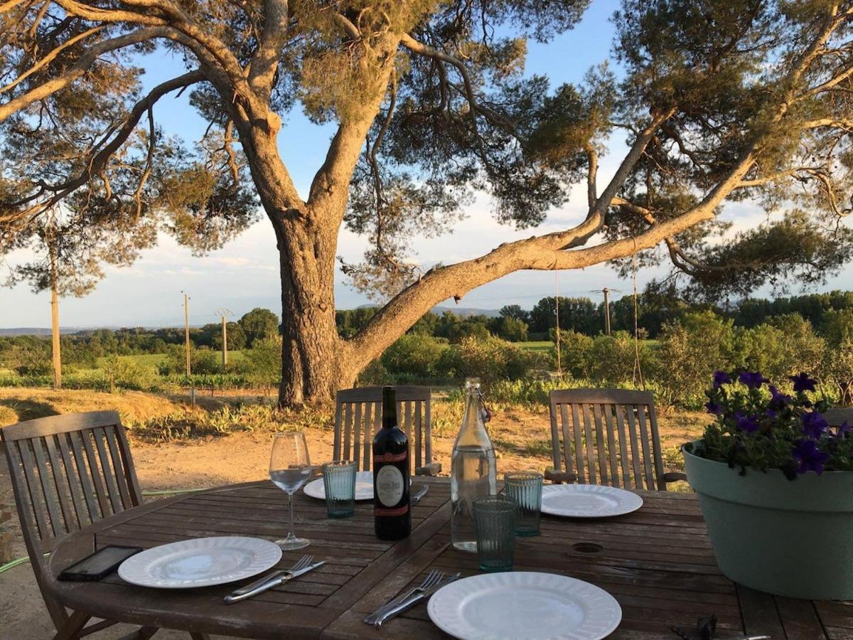 Вілла Domaine Saint Augustin Rieux-Minervois Екстер'єр фото