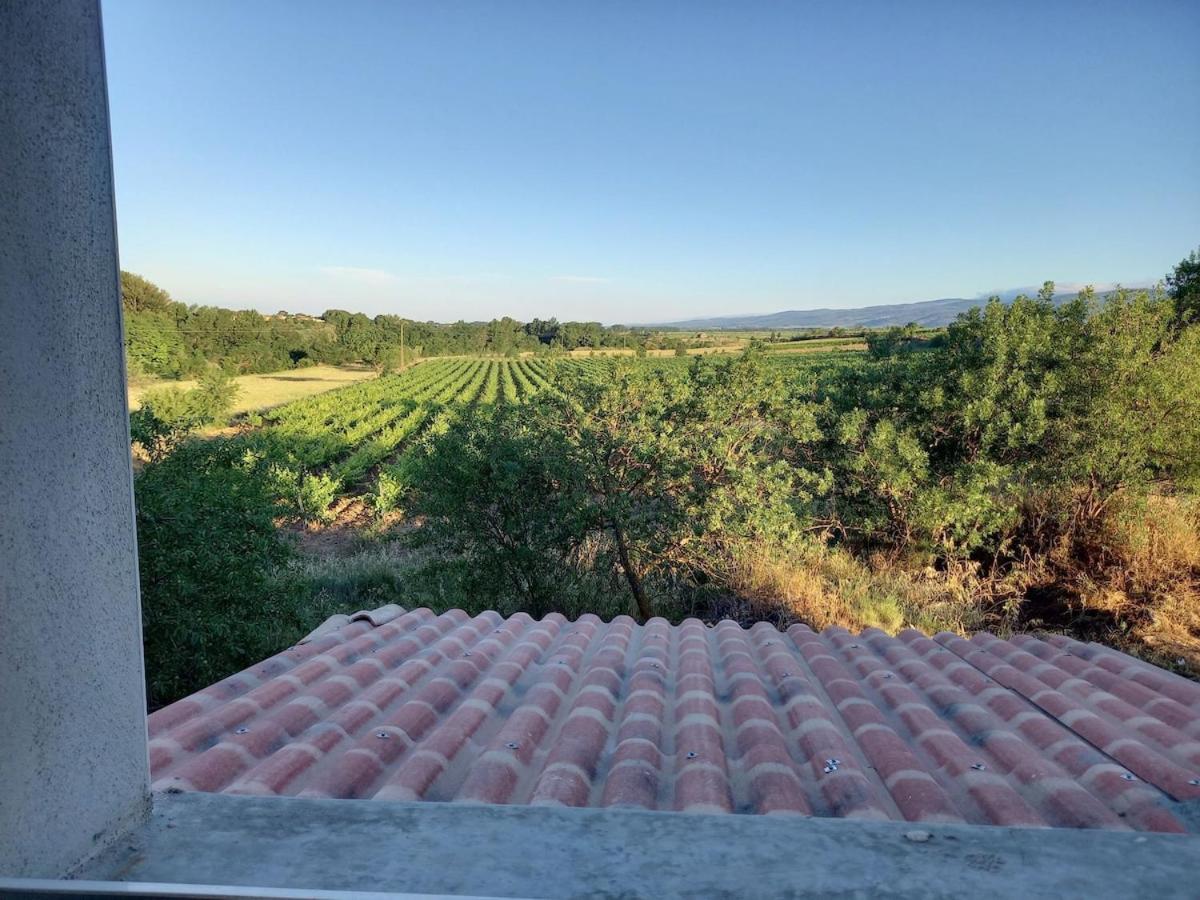 Вілла Domaine Saint Augustin Rieux-Minervois Екстер'єр фото
