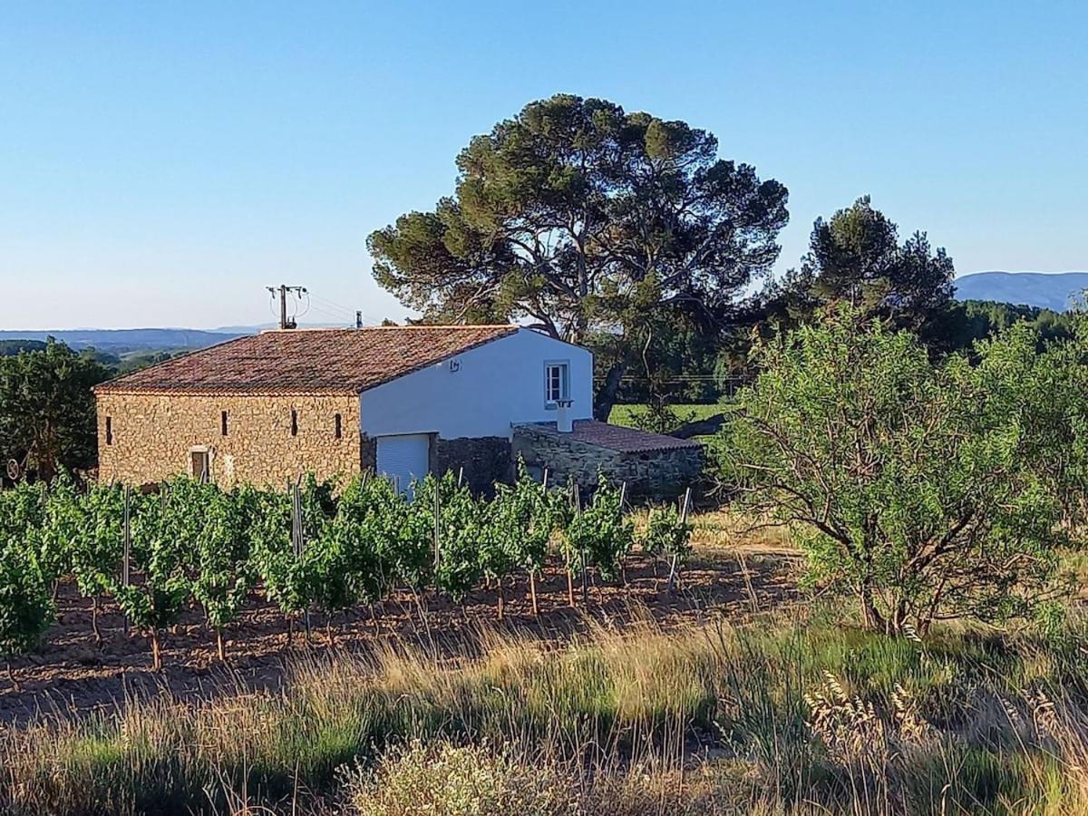 Вілла Domaine Saint Augustin Rieux-Minervois Екстер'єр фото